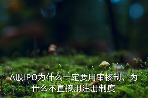 A股IPO為什么一定要用審核制，為什么不直接用注冊制度