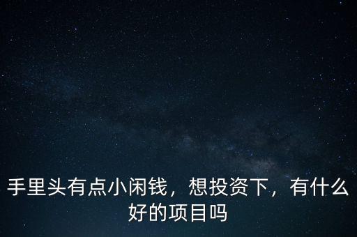 手里頭有點小閑錢，想投資下，有什么好的項目嗎