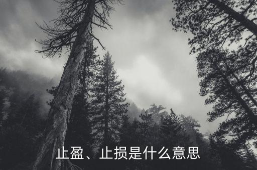 什么是短線止盈,止損是什么意思