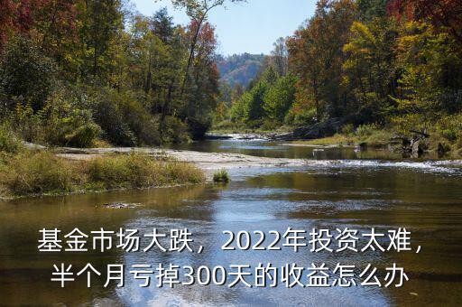 基金市場(chǎng)大跌，2022年投資太難，半個(gè)月虧掉300天的收益怎么辦