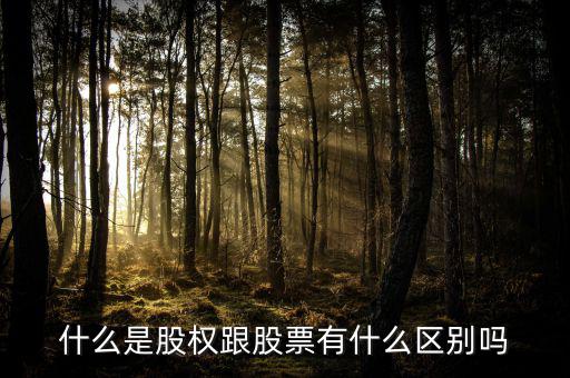 什么是股權跟股票有什么區(qū)別嗎