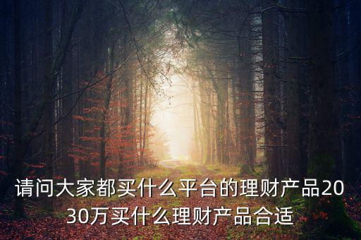 請問大家都買什么平臺的理財產品2030萬買什么理財產品合適