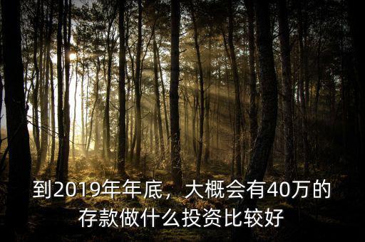 到2019年年底，大概會有40萬的存款做什么投資比較好