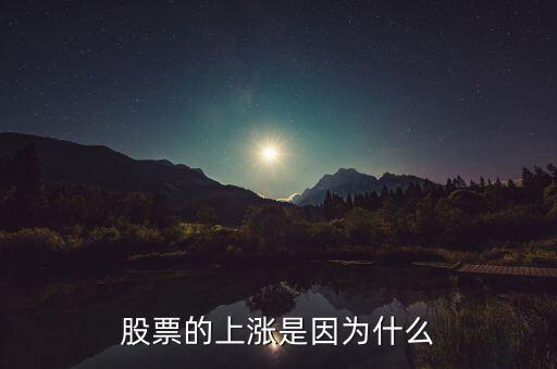 股票的上漲是因為什么