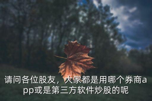 請(qǐng)問(wèn)各位股友，大家都是用哪個(gè)券商app或是第三方軟件炒股的呢