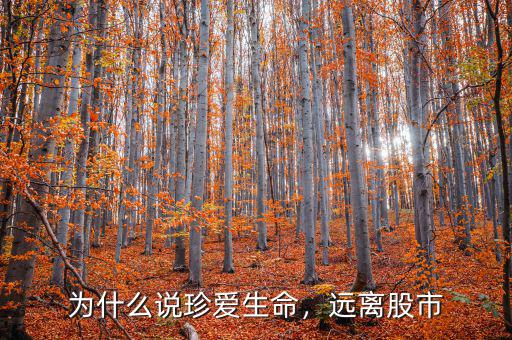 為什么說(shuō)珍愛(ài)生命，遠(yuǎn)離股市