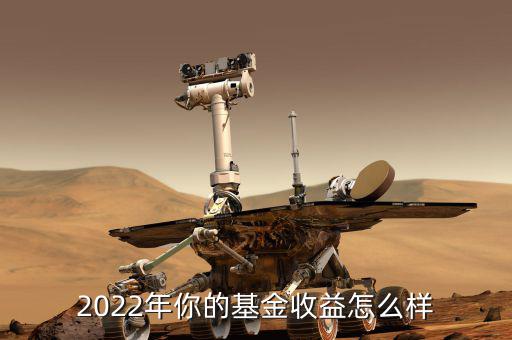 2022年你的基金收益怎么樣