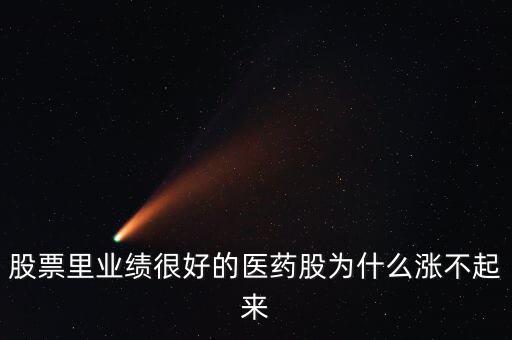 股票里業(yè)績很好的醫(yī)藥股為什么漲不起來