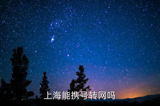 上海攜號(hào)轉(zhuǎn)網(wǎng)怎么辦理,上海能攜號(hào)轉(zhuǎn)網(wǎng)嗎