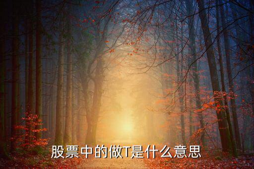 股票術(shù)語(yǔ)做t是什么意思,股票中的做T是什么意思