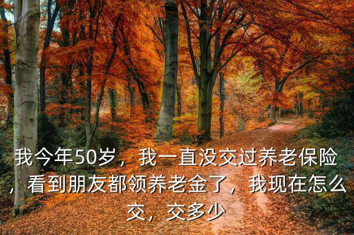 50歲怎么交養(yǎng)老保險(xiǎn),我現(xiàn)在怎么交