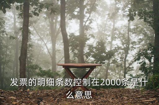 發(fā)票明細什么意思，發(fā)票的明細條數(shù)控制在2000條是什么意思