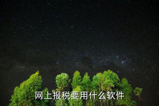 網(wǎng)上報稅下載什么軟件，深圳etax網(wǎng)上報稅軟件哪里下載