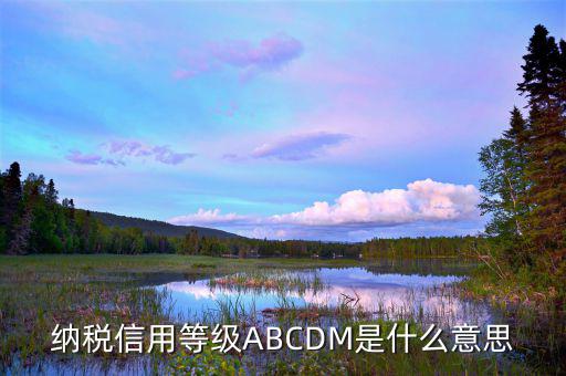 江蘇國稅信用評級是什么，納稅信用等級ABCDM是什么意思