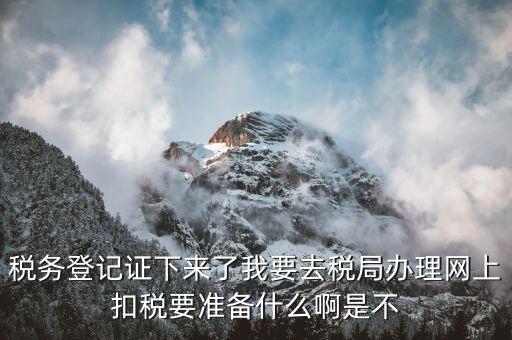 稅務登記證下來了我要去稅局辦理網(wǎng)上扣稅要準備什么啊是不