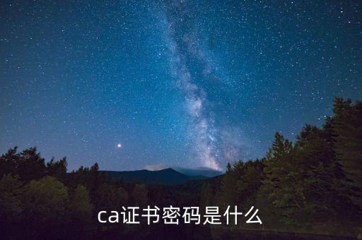 ca證書密碼是什么