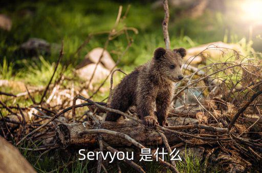 servyou是什么意思，Servyou 是什么