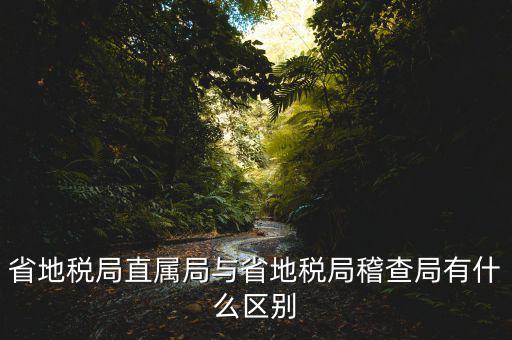 什么是地稅直屬局，國家稅務(wù)局直屬稅務(wù)分局是什么意思