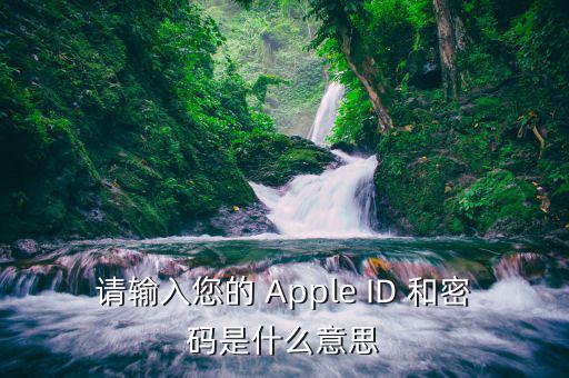 請輸入您的 Apple ID 和密碼是什么意思