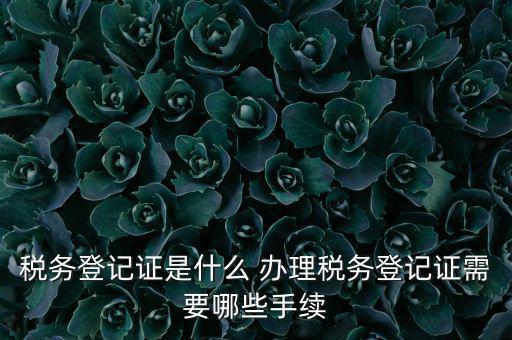 地稅局登記是什么，地稅辦理稅務(wù)登記需要哪些資料