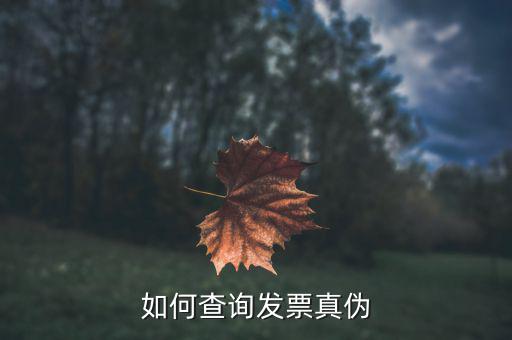 查驗發(fā)票需要什么信息，發(fā)票怎么去稅務(wù)局驗證需要什么資料