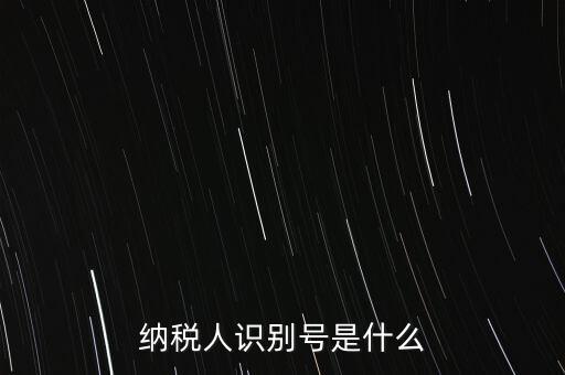 電子稅務(wù)局納稅人識別號是什么，納稅人識別號是什么