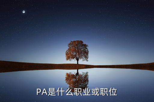 河南省國稅局陳紅偉什么職務(wù)，PA是什么職業(yè)或職位