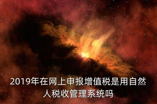 什么是增值稅管理系統(tǒng)，2019年在網上申報增值稅是用自然人稅收管理系統(tǒng)嗎