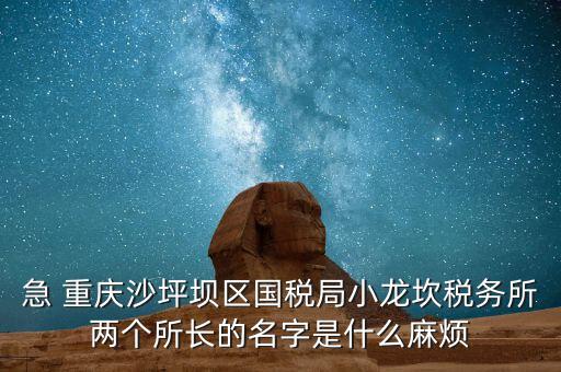 稅務(wù)所所長(zhǎng)什么級(jí)別，地稅局基層稅務(wù)所屬什么層級(jí)