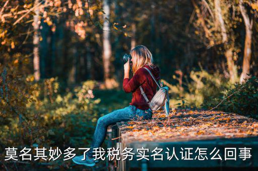 莫名其妙多了我稅務(wù)實(shí)名認(rèn)證怎么回事