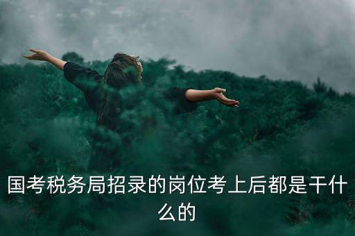 國考稅務局招錄的崗位考上后都是干什么的