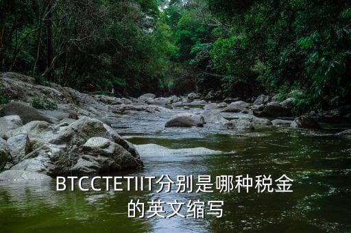 bt 是什么稅，BTCCTETIIT分別是哪種稅金的英文縮寫