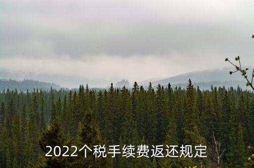 個稅返手續(xù)費什么時間，退個稅手續(xù)費2022年新規(guī)定