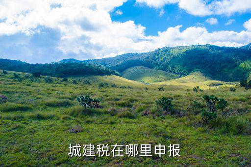 地稅城市維護建設(shè)稅按什么申報，城建稅申報