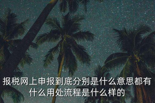 報稅網(wǎng)上申報到底分別是什么意思都有什么用處流程是什么樣的