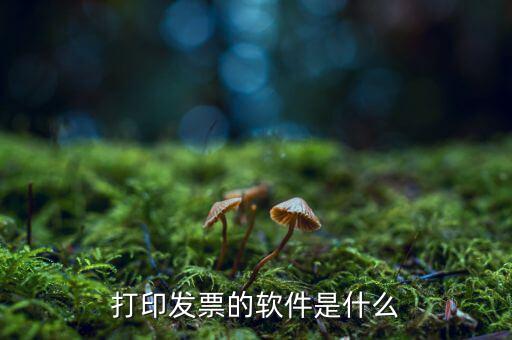 p發(fā)票用什么軟件，我想p一下發(fā)票的內(nèi)容要哪個軟件好