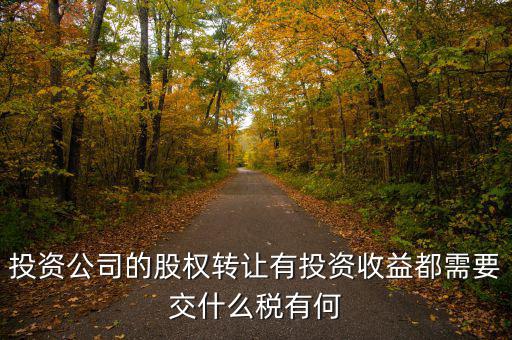 投資公司要交什么稅，投資集團(tuán)公司如何繳稅