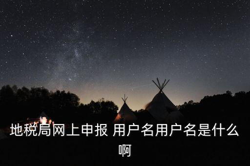 地稅局網(wǎng)上申報 用戶名用戶名是什么啊