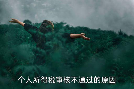 個人所得稅審核不通過的原因