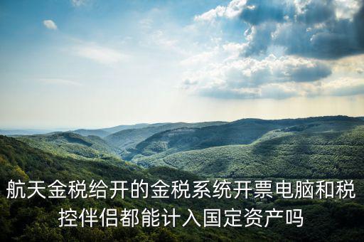 金稅為什么給中軟做，航天金稅給開的金稅系統(tǒng)開票電腦和稅控伴侶都能計入國定資產(chǎn)嗎