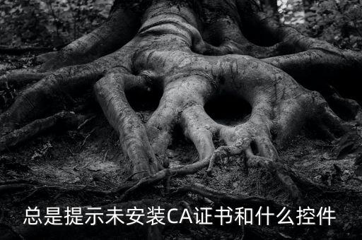 ca控件是什么意思，您是地稅CA用戶但未安裝企業(yè)CA控件為不影響申報功能正常使用請點