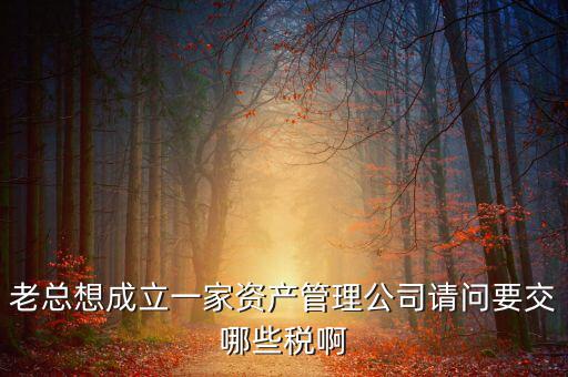 老總想成立一家資產(chǎn)管理公司請(qǐng)問(wèn)要交哪些稅啊