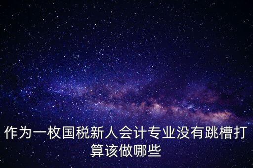 作為一枚國稅新人會計專業(yè)沒有跳槽打算該做哪些