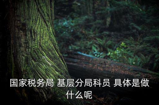 國地稅征管改革黨員干部干什么，國家稅務(wù)局 基層分局科員 具體是做什么呢