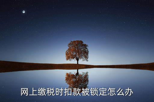 網(wǎng)上繳稅時(shí)扣款被鎖定怎么辦