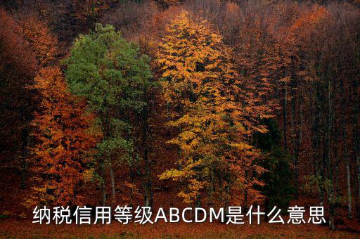 納稅信用等級ABCDM是什么意思