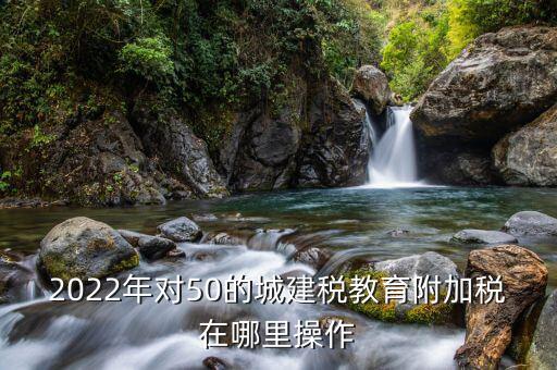 2022年對(duì)50的城建稅教育附加稅在哪里操作