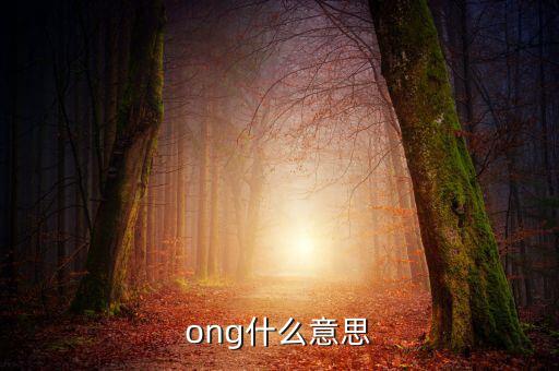 發(fā)票ong什么意思，ong什么意思