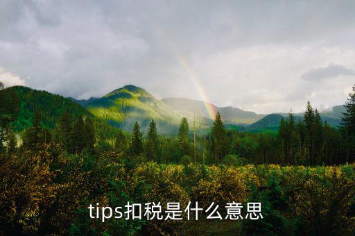 tips扣稅是什么意思