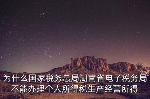 為什么國家稅務(wù)總局湖南省電子稅務(wù)局不能辦理個(gè)人所得稅生產(chǎn)經(jīng)營所得